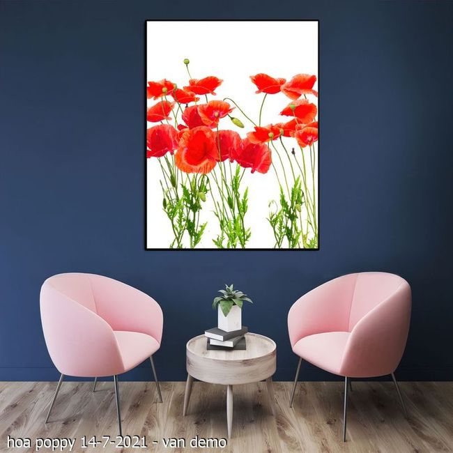 hoa poppy 14 7 2021 van 